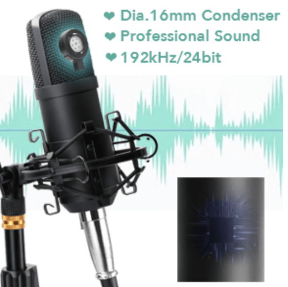 MANLI Professional Microphone