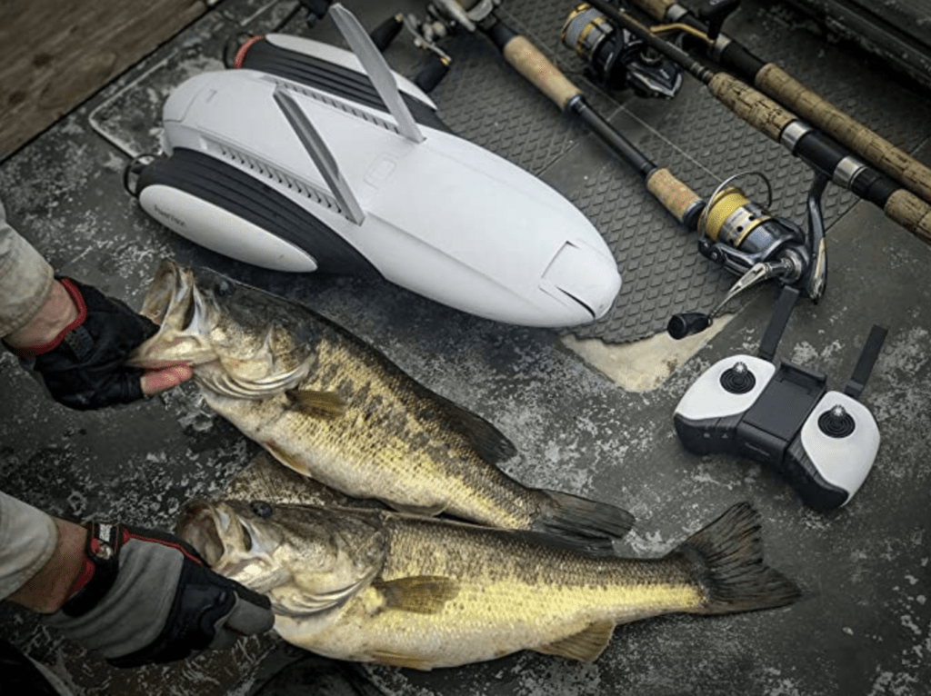 fishing with the powervision powerdolphin