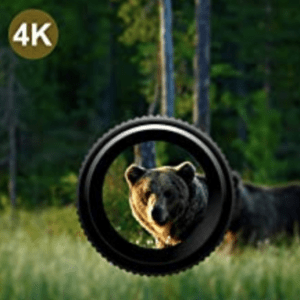 4K Resolution of the Rexing Woodlens H2 - 4K Wi-Fi Trail Camera